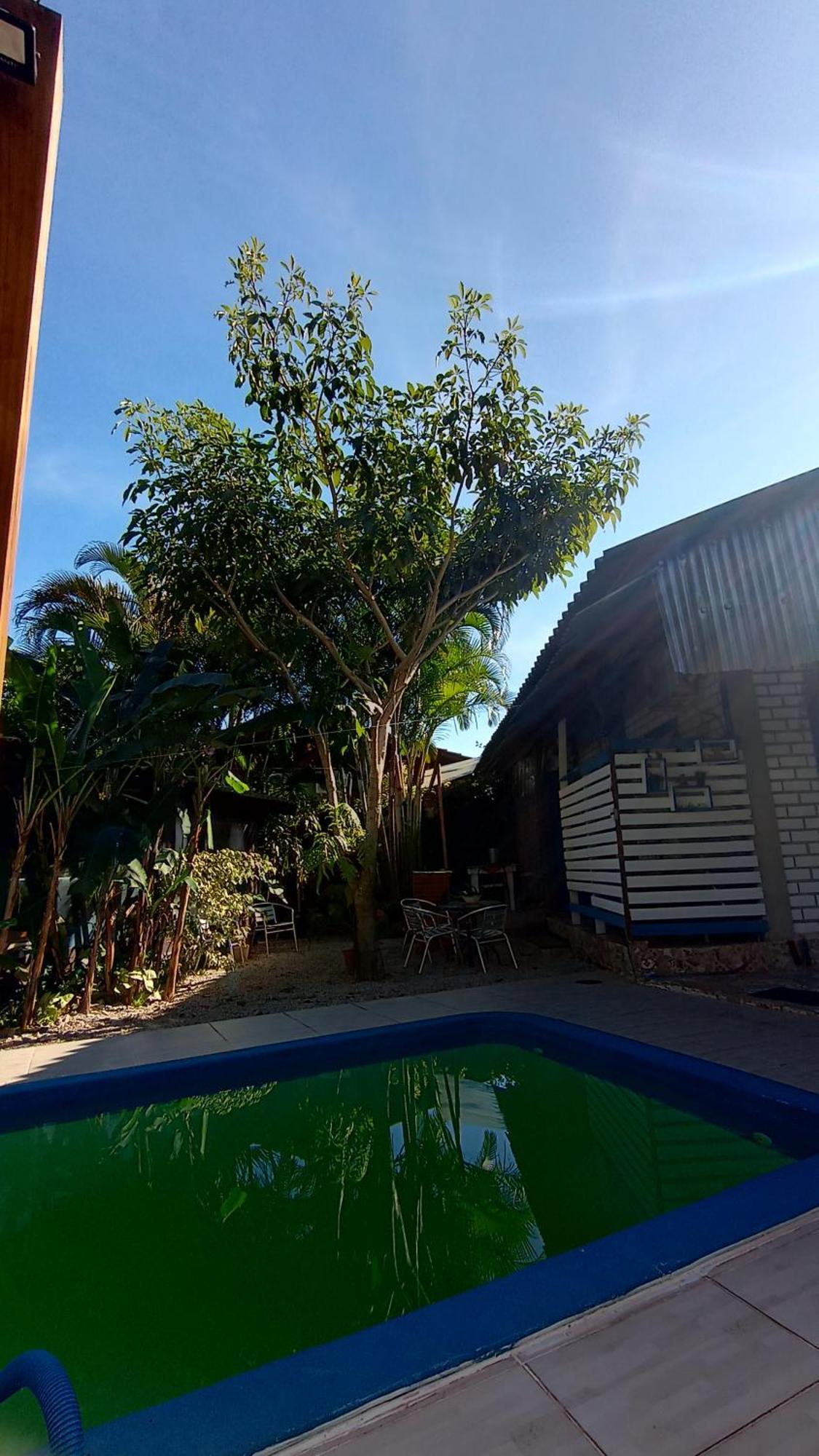 Pousada Zaua Guest House Florianópolis Eksteriør bilde