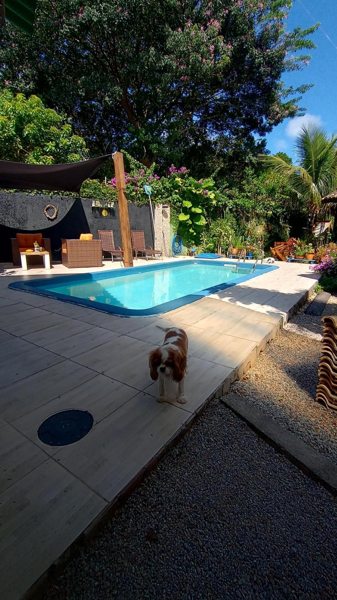 Pousada Zaua Guest House Florianópolis Eksteriør bilde
